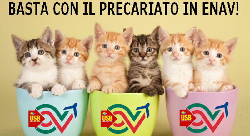 gattini