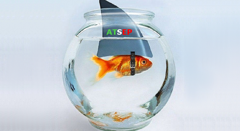 pescerosso