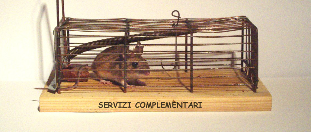 topo in trappola
