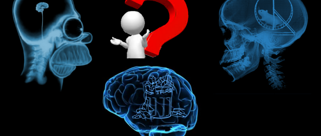 far pace con il cervello